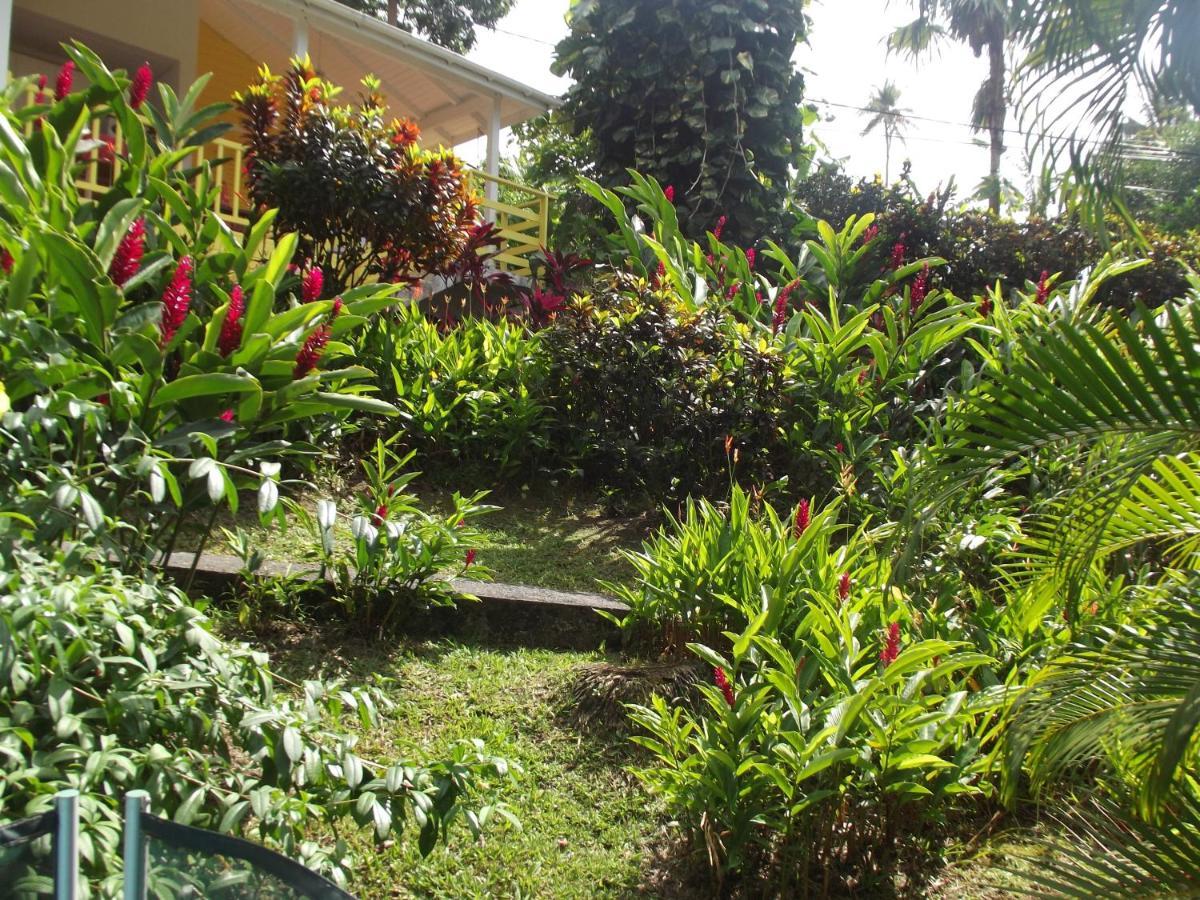 Les Jardins De L'Esperance Villa Bouillante Eksteriør bilde