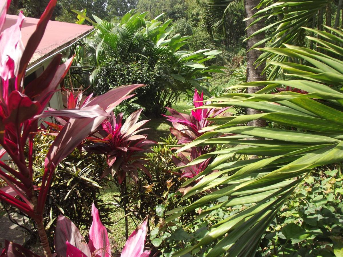 Les Jardins De L'Esperance Villa Bouillante Eksteriør bilde